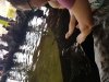 20180804_123014.jpg