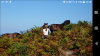 Screenshot_20180805-111846.png