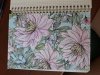 20180805_135834.jpg