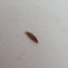 20180805_160946.jpg