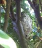IMG-20180805-WA0006.jpg