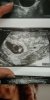 IMG-20180809-WA0001.jpeg