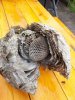 IMG-20180810-WA0009.jpg
