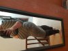 20180811_080819.jpg