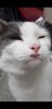 Screenshot_20180812-101349_Video Player.jpg