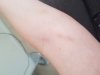 20180812_120407.jpg