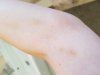 20180813_103730.jpg