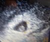 20180813_202500.jpg