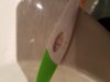 20180817_095304.jpg