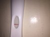 1CFB1CC6-DE86-4C31-987A-CA624DCE43B3.jpeg