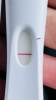 0C19BBC9-C449-49A8-9A5B-2CF6CF43EBE3.png