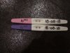 IMG_20180818_095716.jpg
