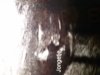 20180818_001310.jpg