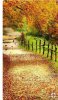 Screenshot_20180820-215034_Pinterest.jpg