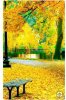 Screenshot_20180820-215047_Pinterest.jpg