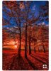Screenshot_20180820-215106_Pinterest.jpg
