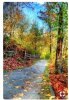 Screenshot_20180820-215005_Pinterest.jpg