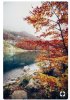 Screenshot_20180820-215118_Pinterest.jpg