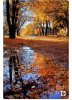 Screenshot_20180820-215132_Pinterest.jpg