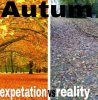 funny-Autumn-leaves-expectation-reality.jpg