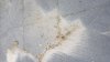 IMG-20180822-WA0006.jpeg