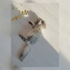 photocollage_201882319246109.jpg