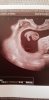IMG-20180824-WA0000.jpeg