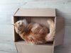 20180513_082143.jpg