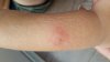20180825_083727.jpg