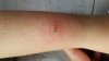 20180825_083715.jpg