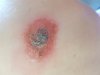 20180825_094519.jpg