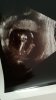 IMG-20180826-WA0018.jpeg