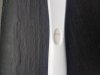 20180828_141536.jpg