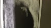 IMG-20180828-WA0010.jpeg