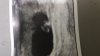 IMG-20180828-WA0002.jpeg