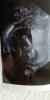 IMG-20180828-WA0002.jpeg