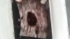 IMG-20180827-WA0012.jpeg