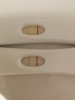 IMG_20180830_061509.jpg