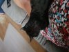 20180902_203446.jpg