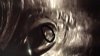 B0961B4C-4C15-4D95-9283-FC7C4ABDDF84.jpeg