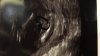 2378416E-62A6-46DD-A4DB-A21E1BDB2676.jpeg