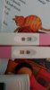 BED16BC5-BC91-469E-BF54-5C908CE92554.jpeg
