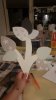 IMG-20180905-WA0006.jpg