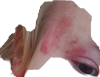 20180907_190631.png