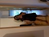 20180908_071025.jpg