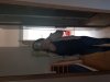 20180909_082759.jpg