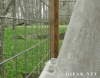 EBB70602-52A8-4508-85DD-62B6721D7F0C.gif