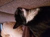 20180608_211343.jpg