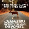 FB_IMG_1536752959728.jpg