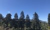 9D6272B9-C364-4817-AF90-E183D731366A.jpeg